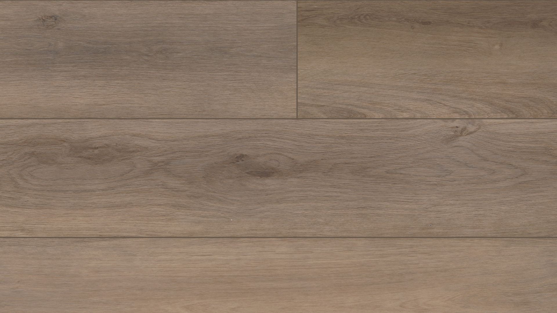 Plus Enhanced Planks
