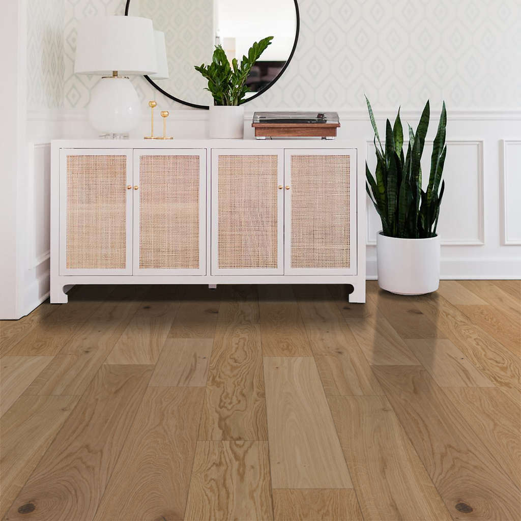 Shaw Expressions - HARMONY ($10.89 p/sf) SW707-02050