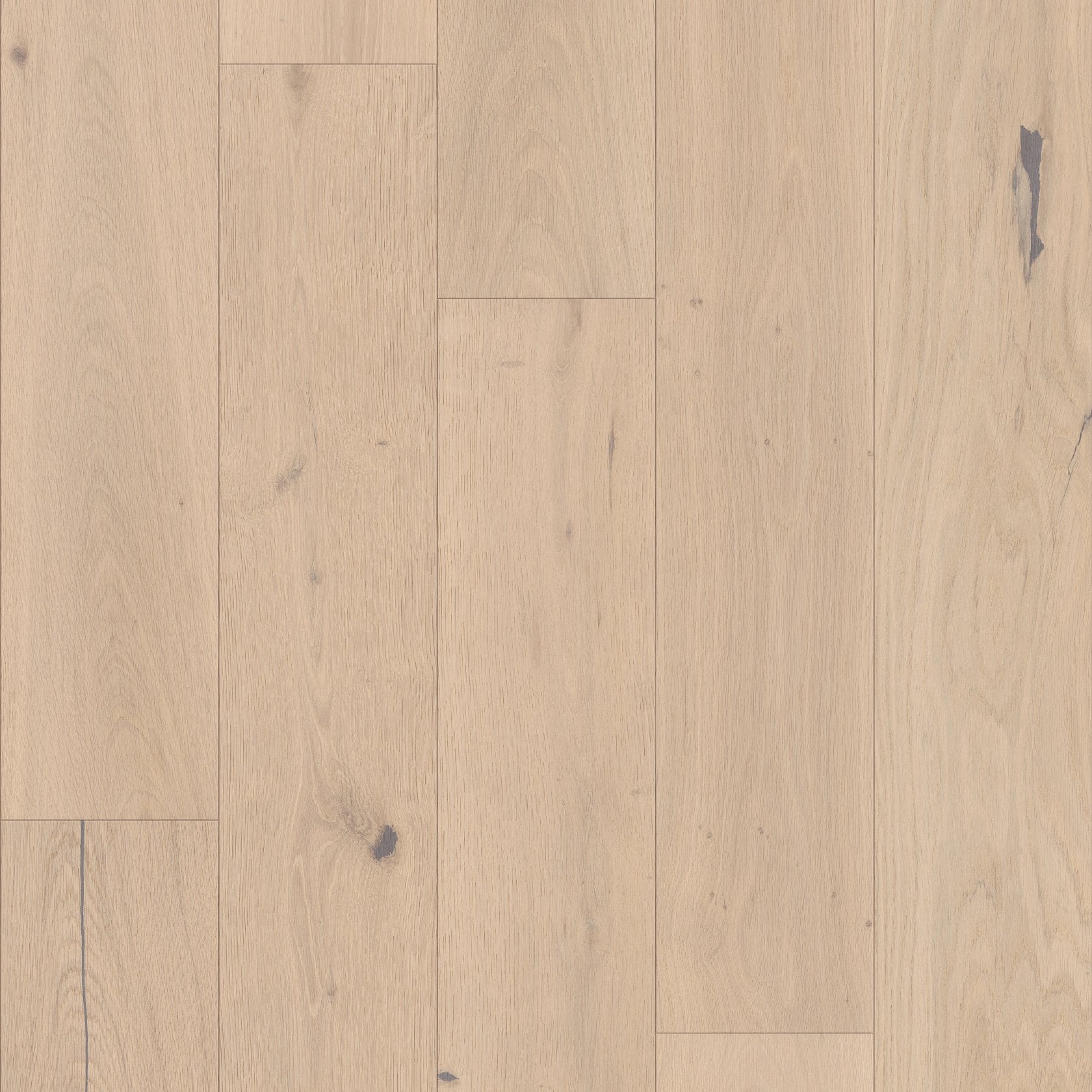 Shaw Expressions - CADENCE ($10.89 p/sf) SW707-01162