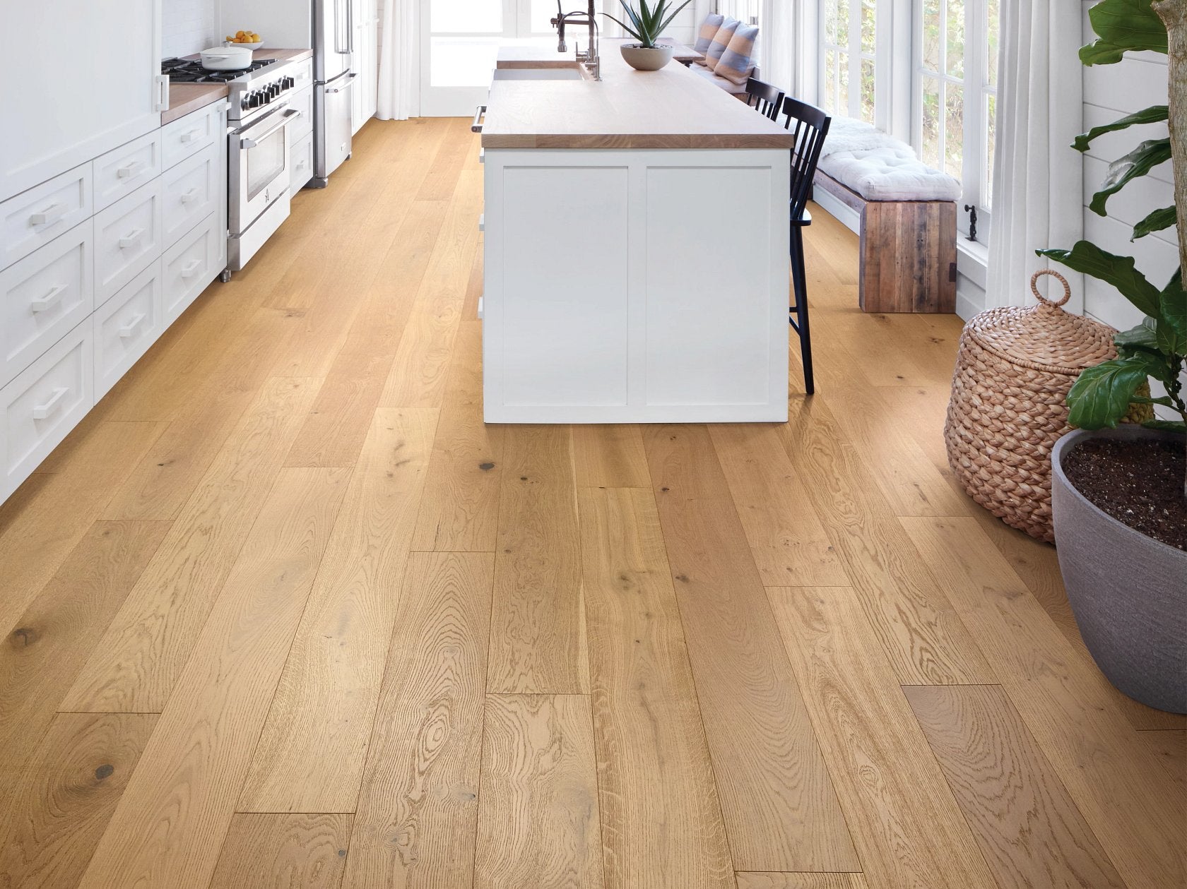 Shaw Expressions - HARMONY ($10.89 p/sf) SW707-02050