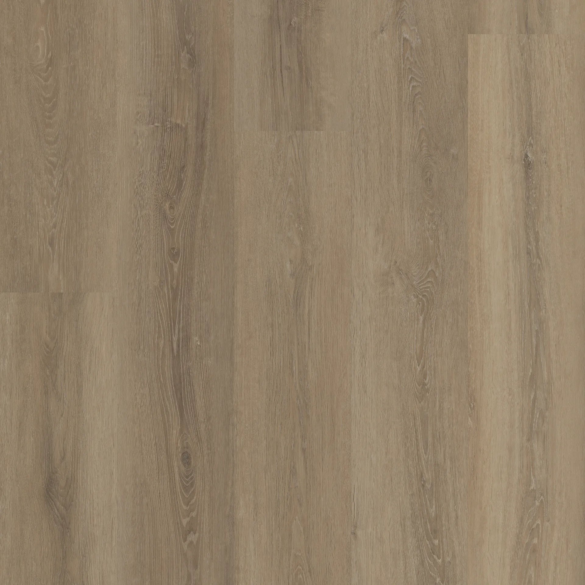 COREtec Plus Premium XL - 9" Grande Ellidy Oak ($9.29 p/sf) VV662-04029