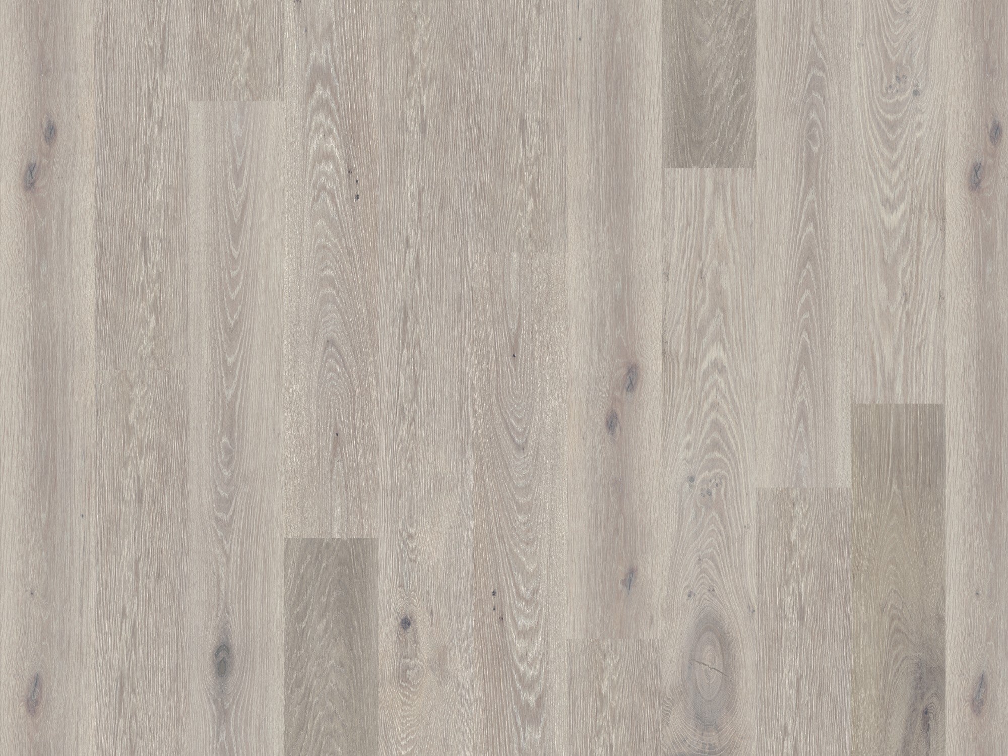 Duchateau Global Winds - HARMATTAN (5/8" x 7-1/2")