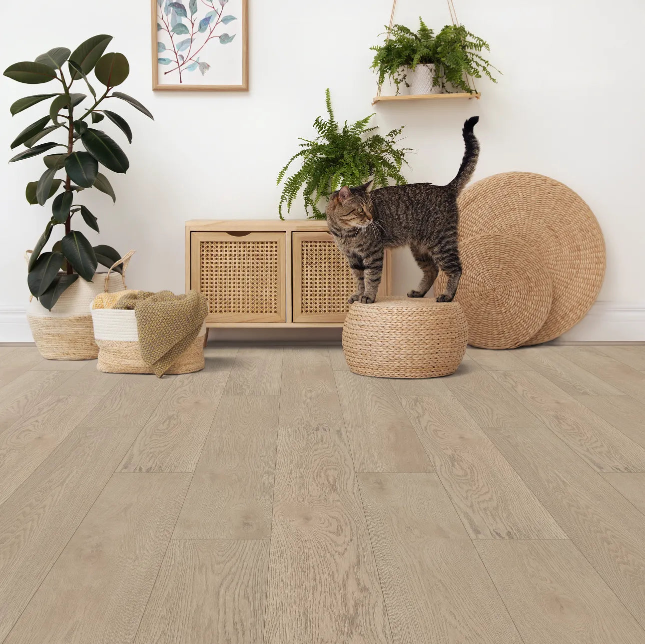 COREtec Scratchless 7" - Morningside Oak ($6.99 p/sf) VV674-05014