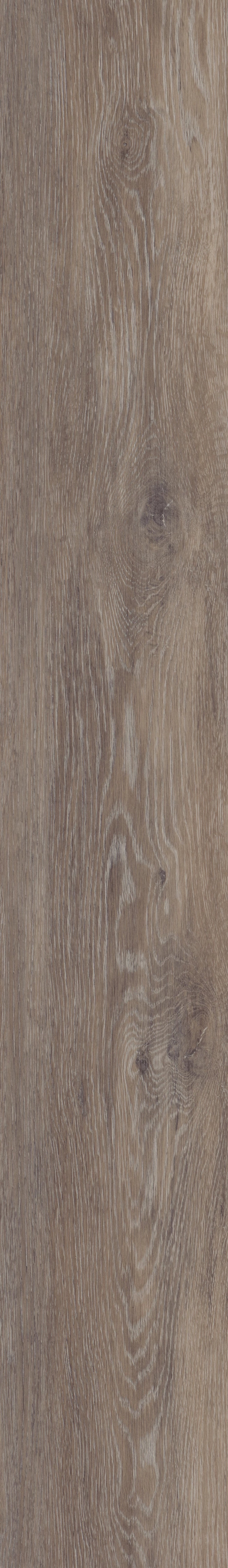 COREtec Plus - 7" Alabaster Oak ($5.99 /sf) VV024-00706
