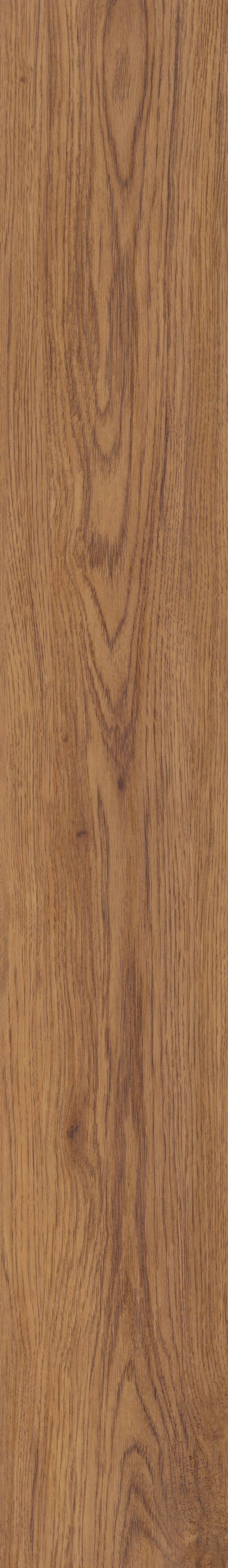 COREtec Plus - 7" Marsh Oak ($5.99 /sf) VV024-00714