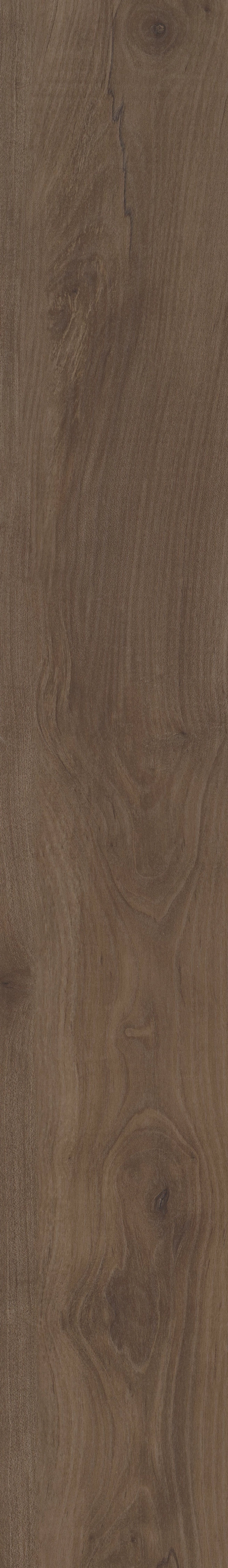 COREtec Pro Plus Integrated - 7" Stonehaven Maple ($5.99 p/sf) VV800-03024