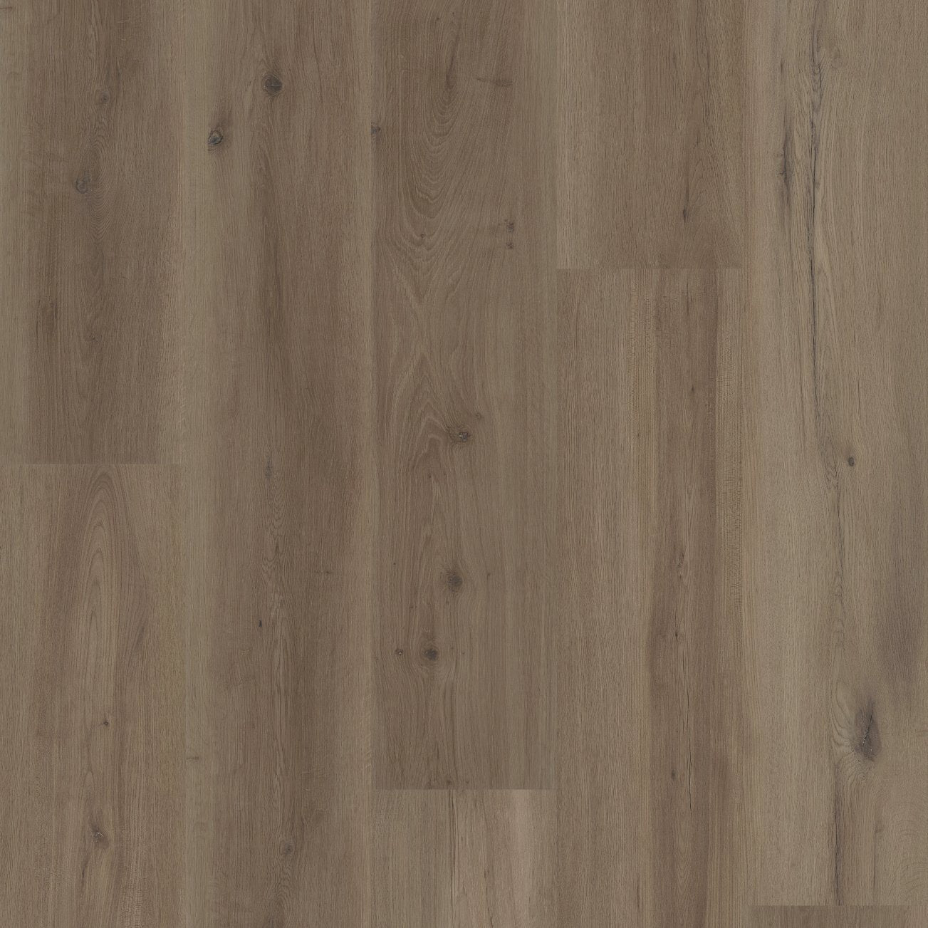 COREtec Plus Soft Step - 9" Mist Oak ($8.79 p/sf) VV810-04028