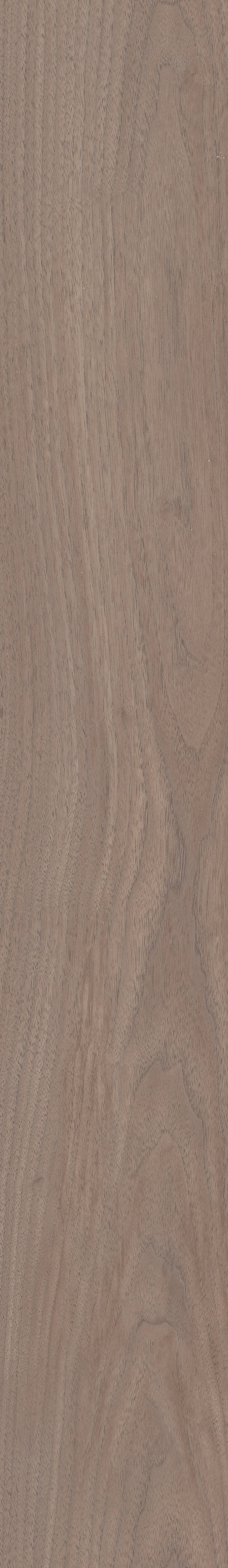COREtec Plus Soft Step - 7" Feather Walnut ($8.79 p/sf) VV820-07020