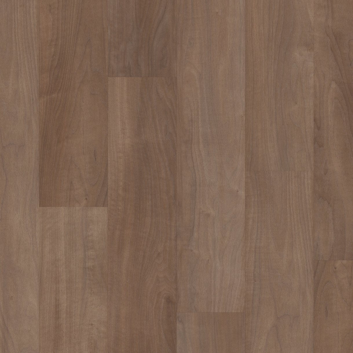 COREtec Plus Soft Step - 7" Chromatic Beech ($8.79 p/sf) VV820-07024