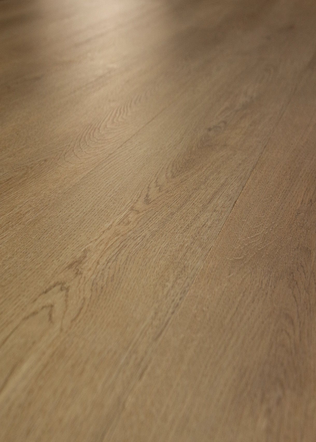 COREtec Plus Plank - 7" Plainfield Oak ($5.99 p/sf) VV845-05046