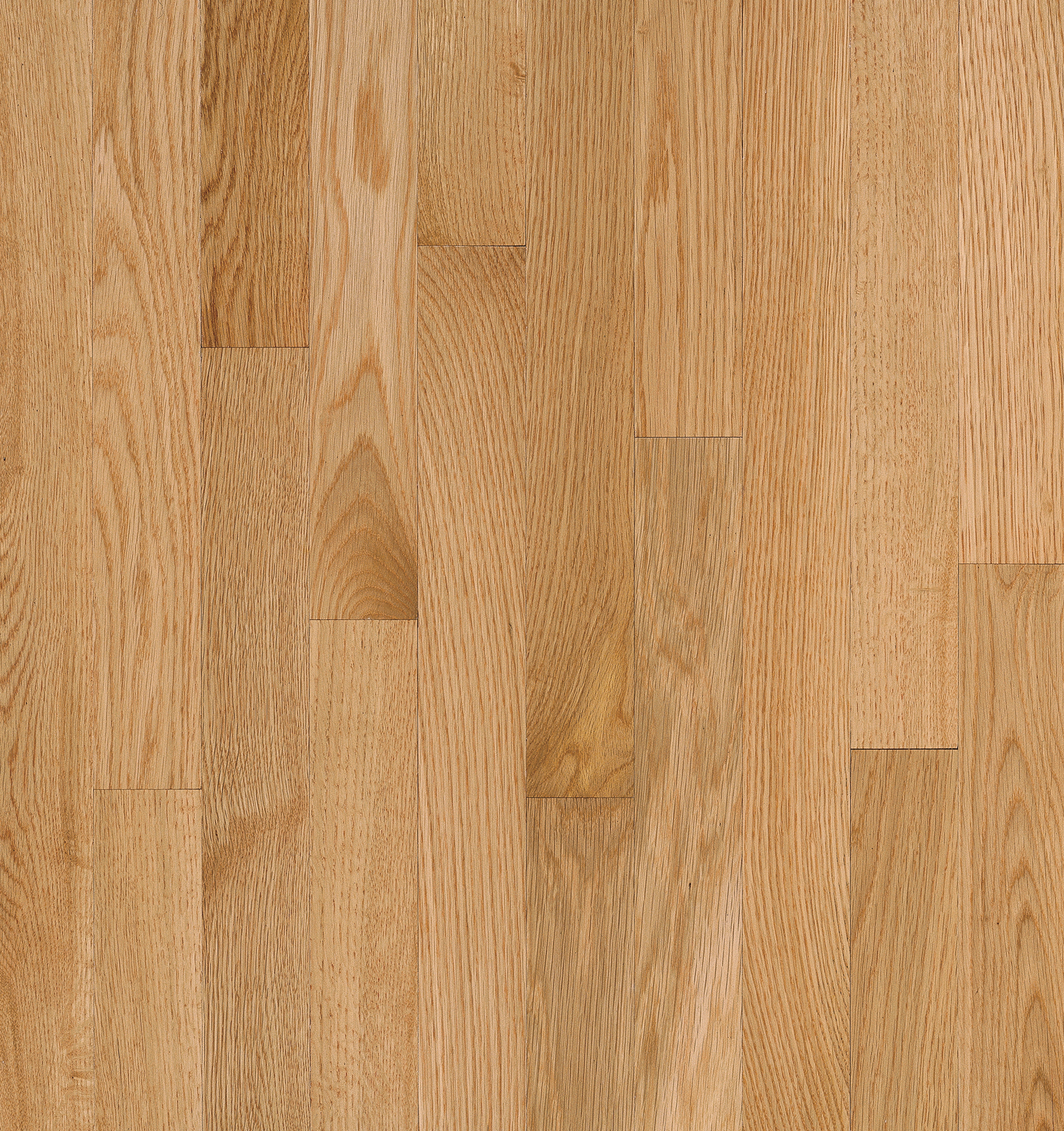 Bruce Solid Natural Choice - 2-1/4" Natural HG ($8.29/sf)