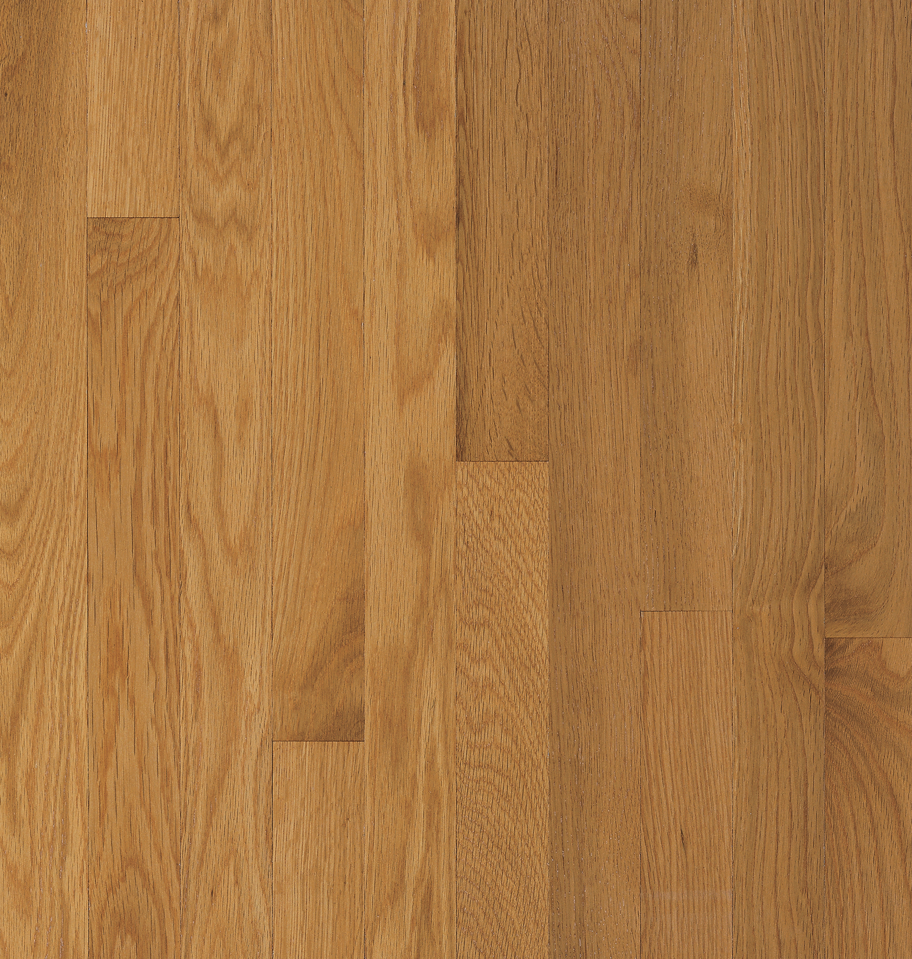 Bruce Solid Waltham - 2-1/4" Cornsilk ($8.78/sf)