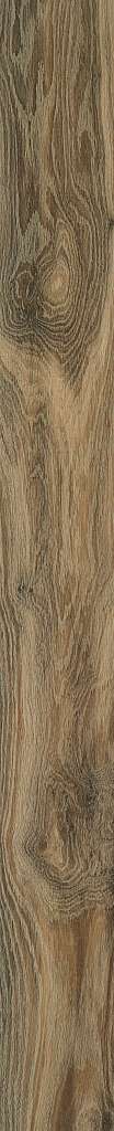 Shaw Engineered - SW707 Expressions- 09047 Freeform
