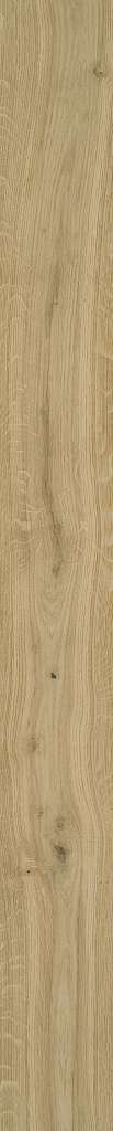 Shaw Engineered - SW707 Expressions- 02050 Harmony