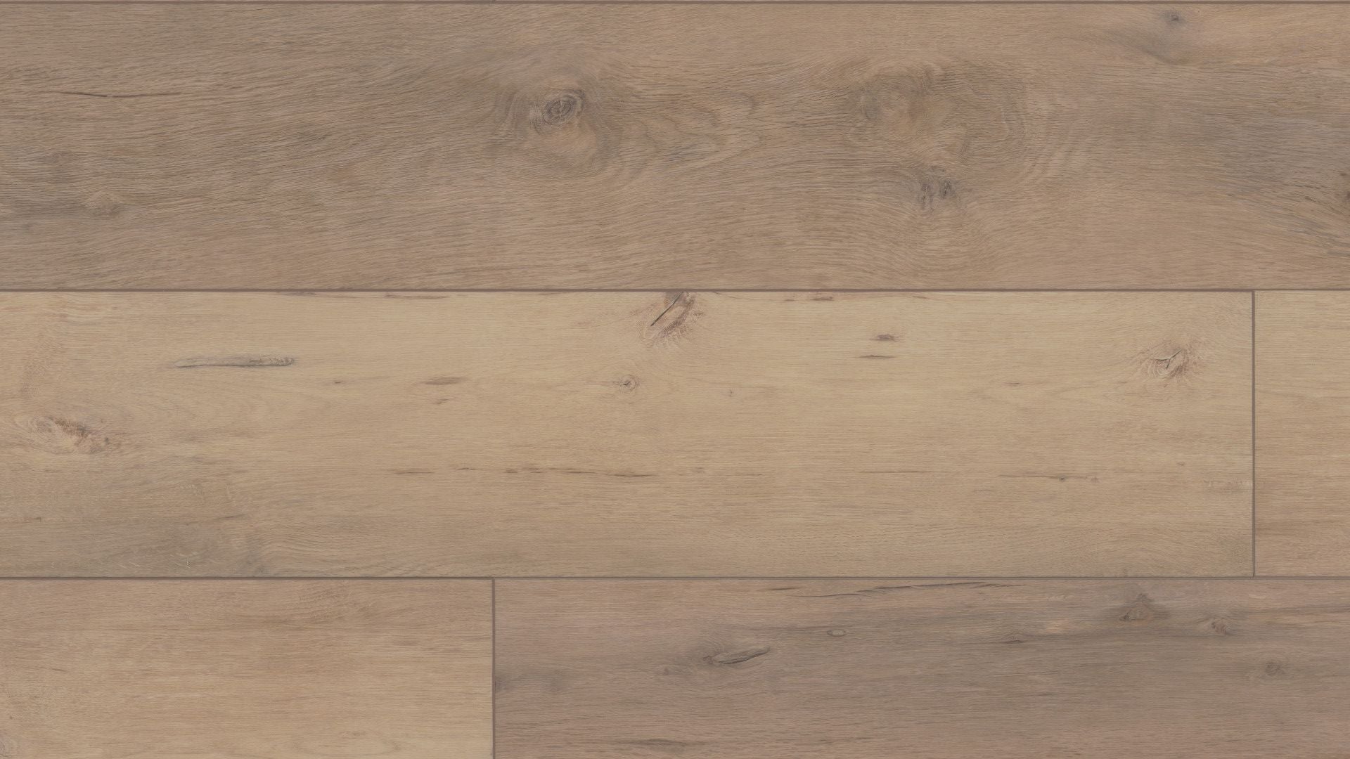 COREtec Pro Plus XL Enhanced - 9" Madrid Oak ($4.59 p/sf) VV491-02950