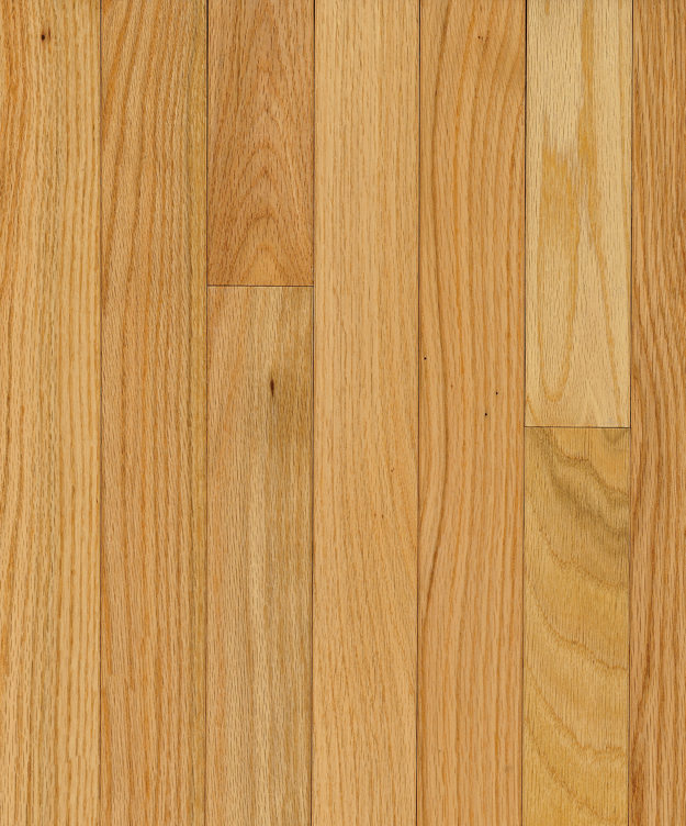 Bruce Solid - 3-1/4" Natural High-Gloss ($11.01/sf)