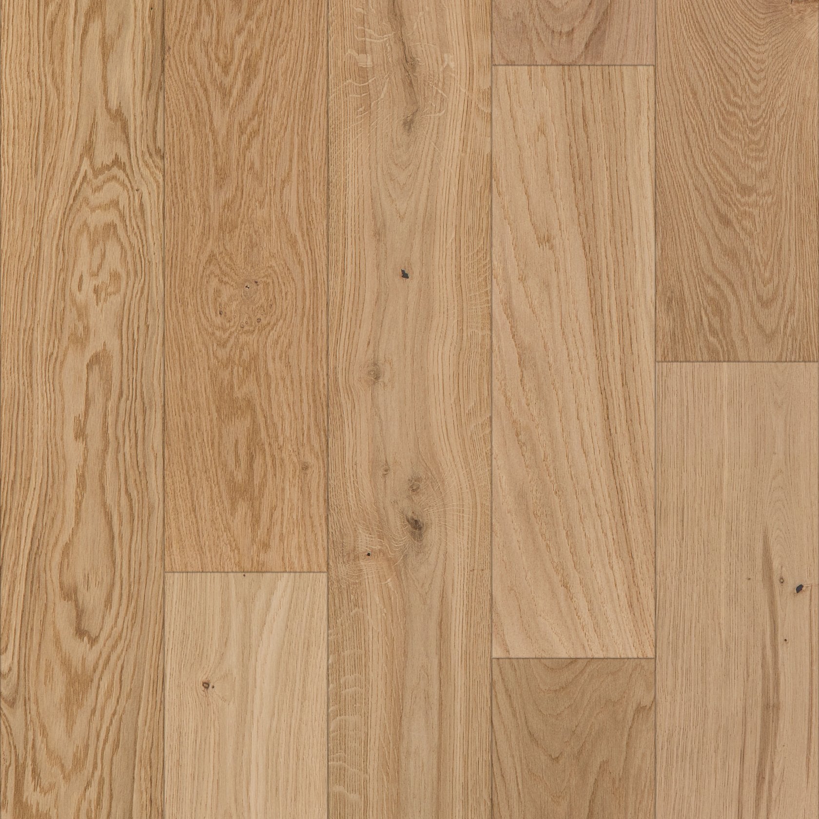 Shaw Expressions - HARMONY ($10.89 p/sf) SW707-02050