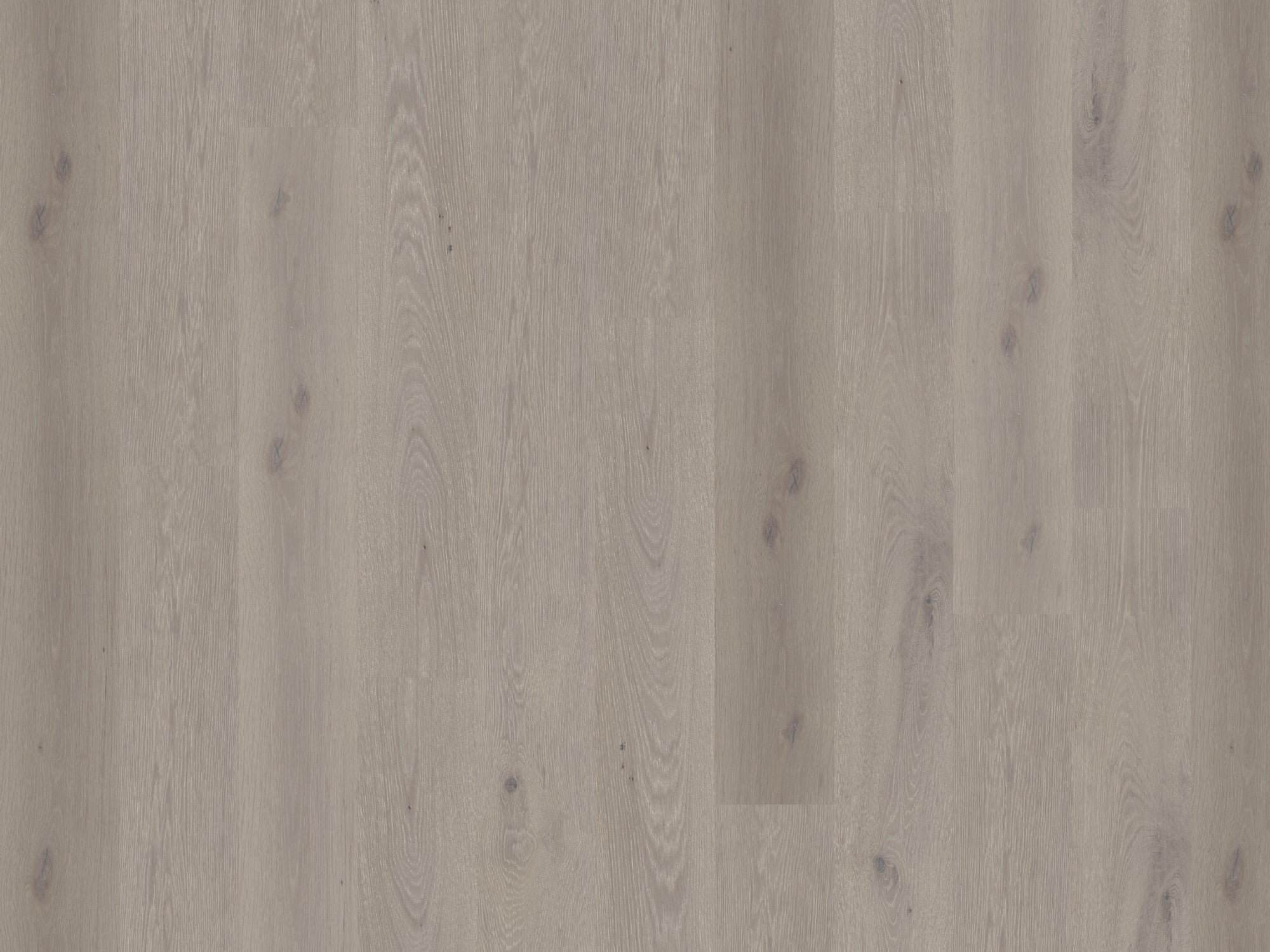 Duchateau Herringbone Global Winds - LEVANTE (5" x 24")