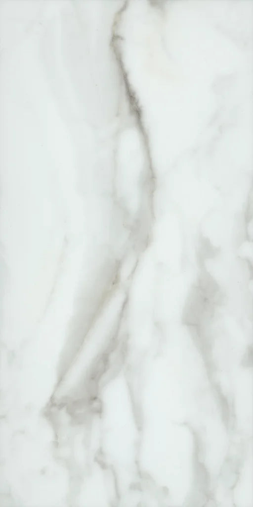 Paragon Tile Plus - Calacatta 12" ($5.79 p/sf) 1022V-01100