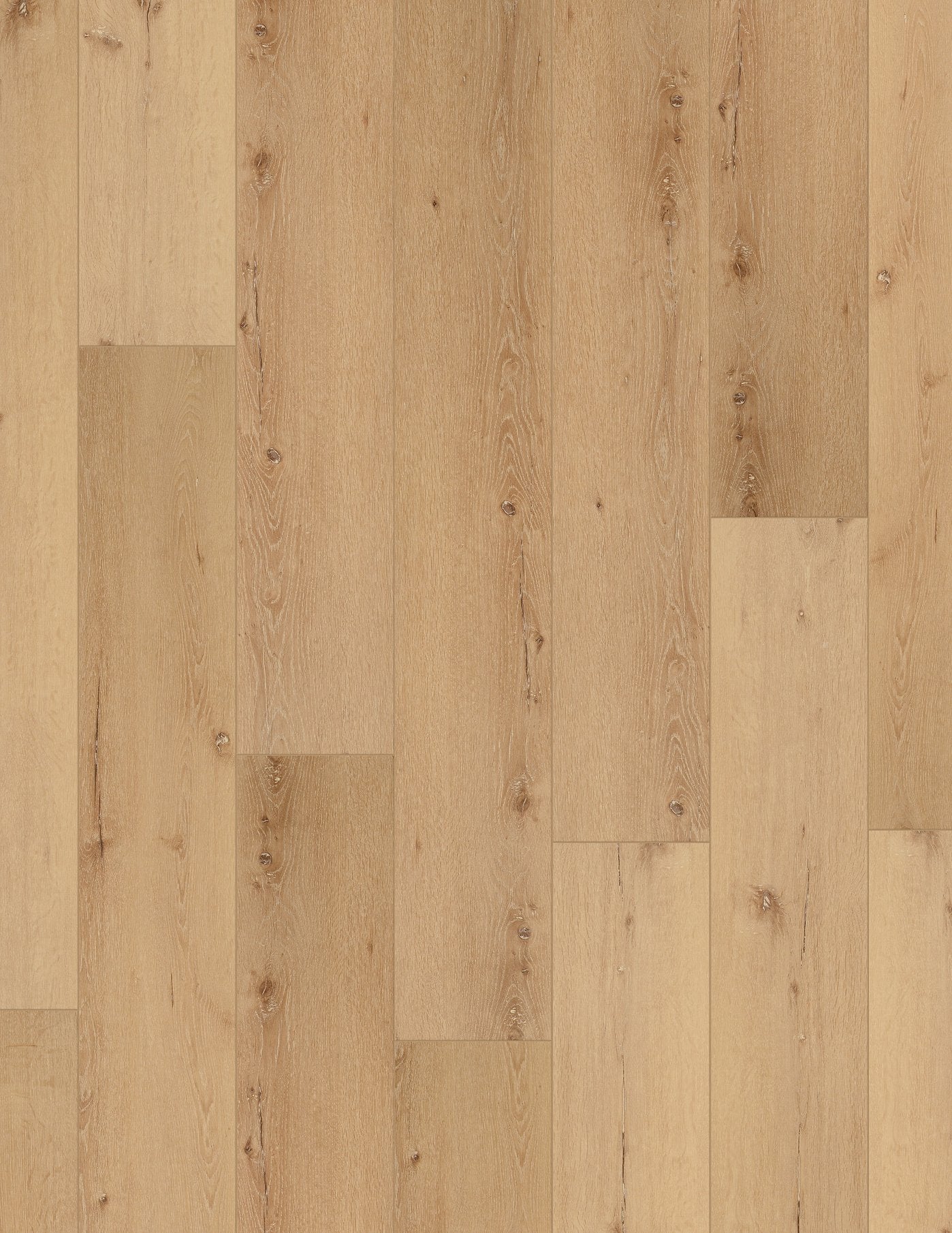 COREtec Pro Plus XL Enhanced - 9" Cairo Oak ($4.59 p/sf) VV491-02956