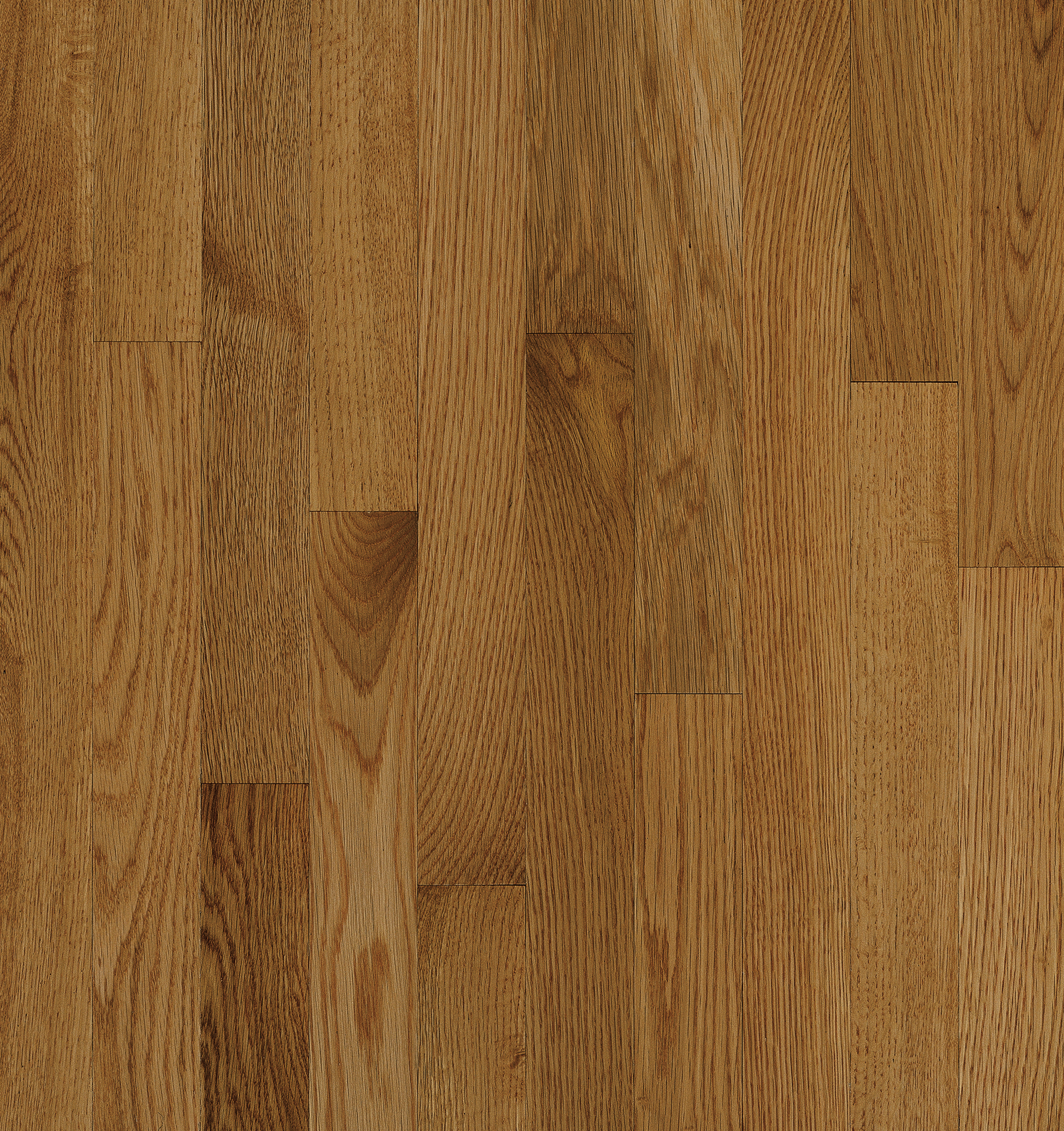 Bruce Solid Natural Choice - 2-1/4" Spice HG ($8.29/sf)