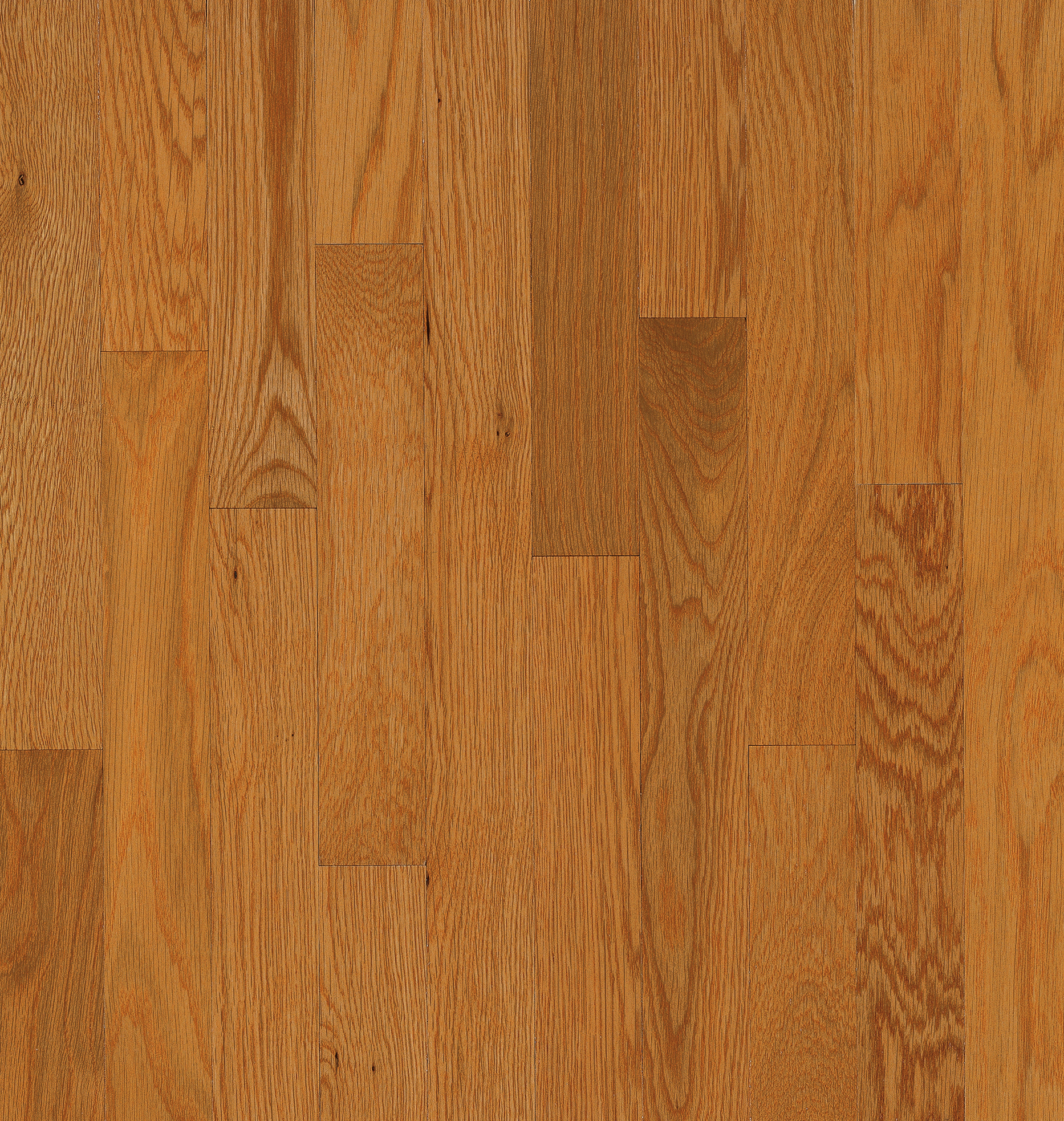 Bruce Solid Natural Choice - 2-1/4" - Butter Rum HG ($8.29/sf)