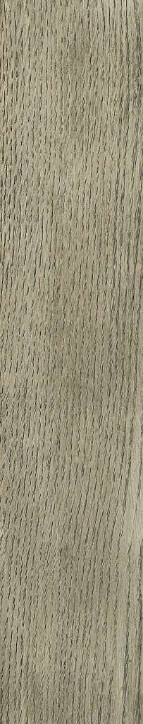 Shaw Engineered - SW707 Expressions- 05014 Roosevelt 