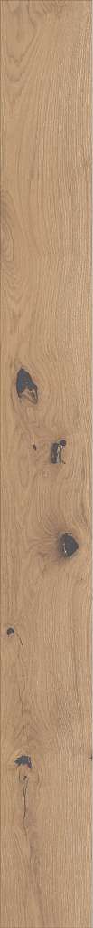 Shaw Engineered - SW485 Castlewood Oak - 00146 Tapestry 